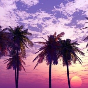 Meet your Posher, Mcvey